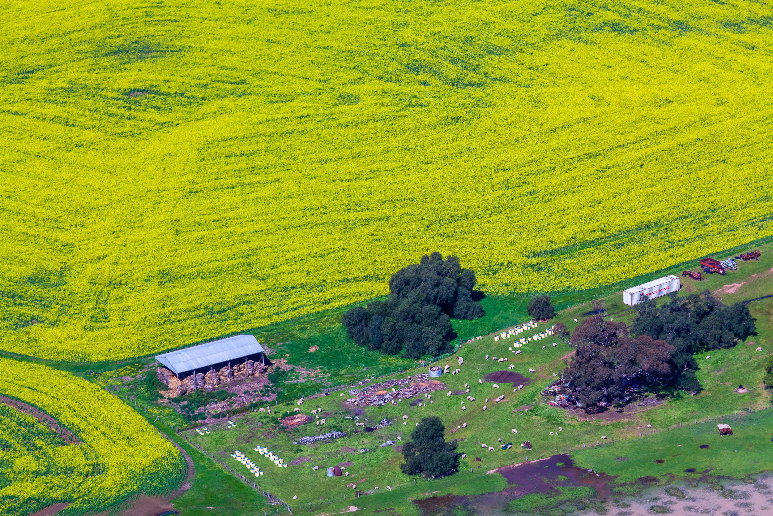Aerial photograph of farm homestead and outbuildings set within productive agricultural land in regional Victoria