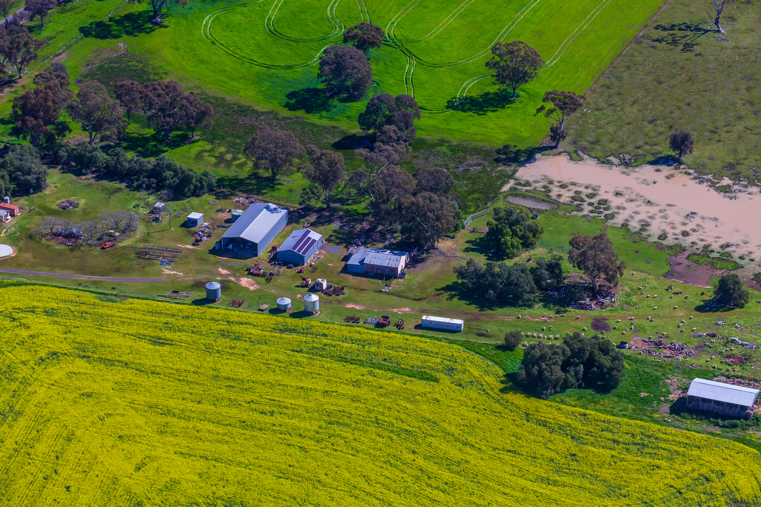 Overhead aerial view of Victorian mixed farming property with alternating crop and pasture paddocks and central dam