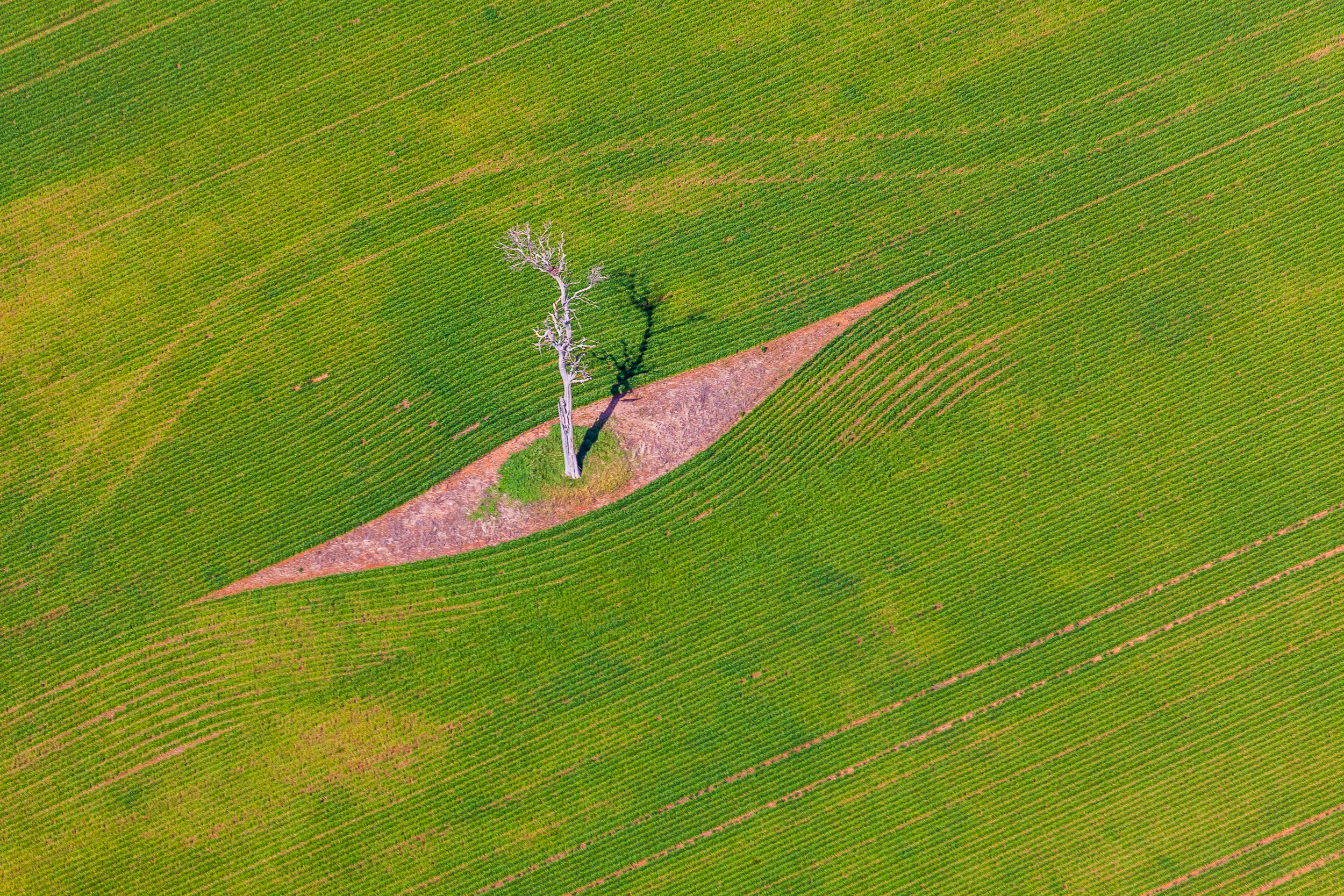 Aerial farm photography Victoria showing pastoral land with sheep grazing paddocks and boundary fencing